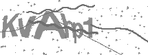 visual captcha